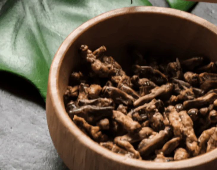 Ingredients Used In HaloGrow Hairspray